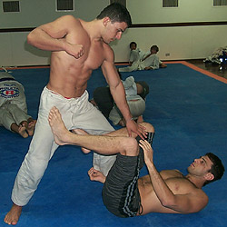 FCF Fight Techniques