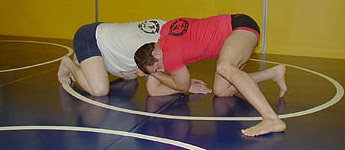 FCF Fight Techniques