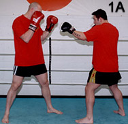 FCF Fight Techniques