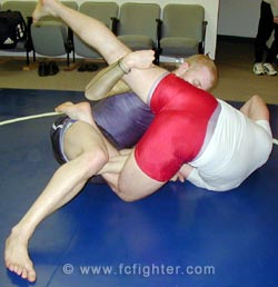 FCF Fight Techniques