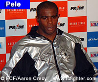 Pele Landi