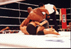 Gary Goodridge vs Marco Ruas