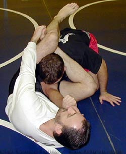 FCF Fight Techniques